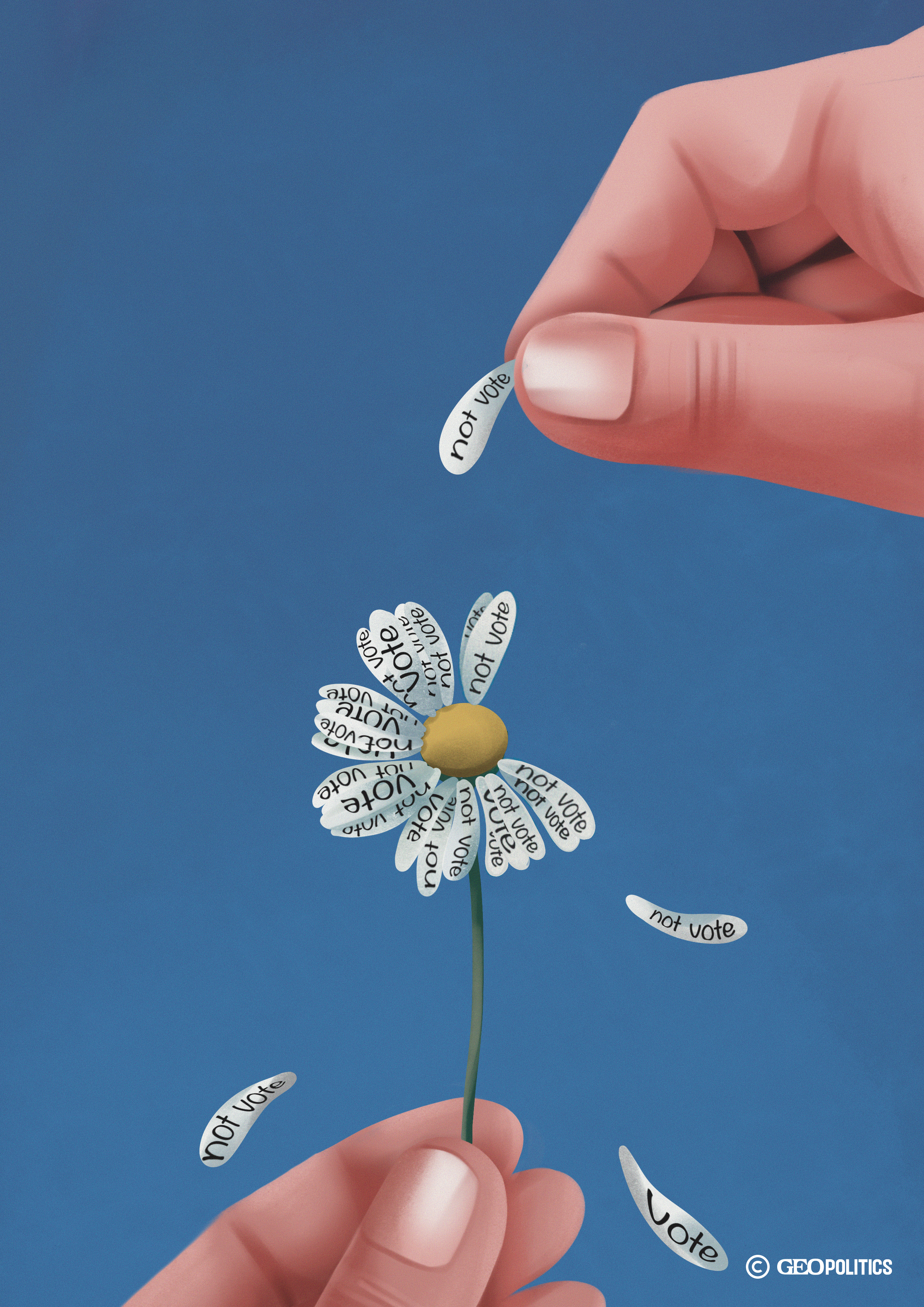 To Vote or Not to Vote: Lost Between the Ballot and Boycott